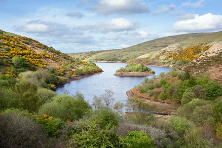 View overlooking Meldon Reservoir, Dartmoor